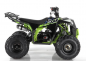 Apollo Kinderquad Commander 8 Zoll